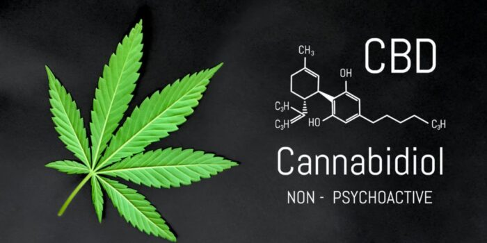 cannabidiol